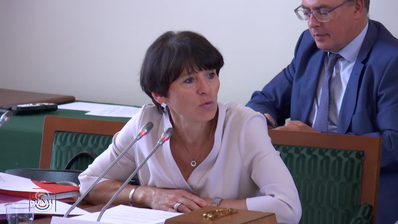 Audition de Mme Christel Bories