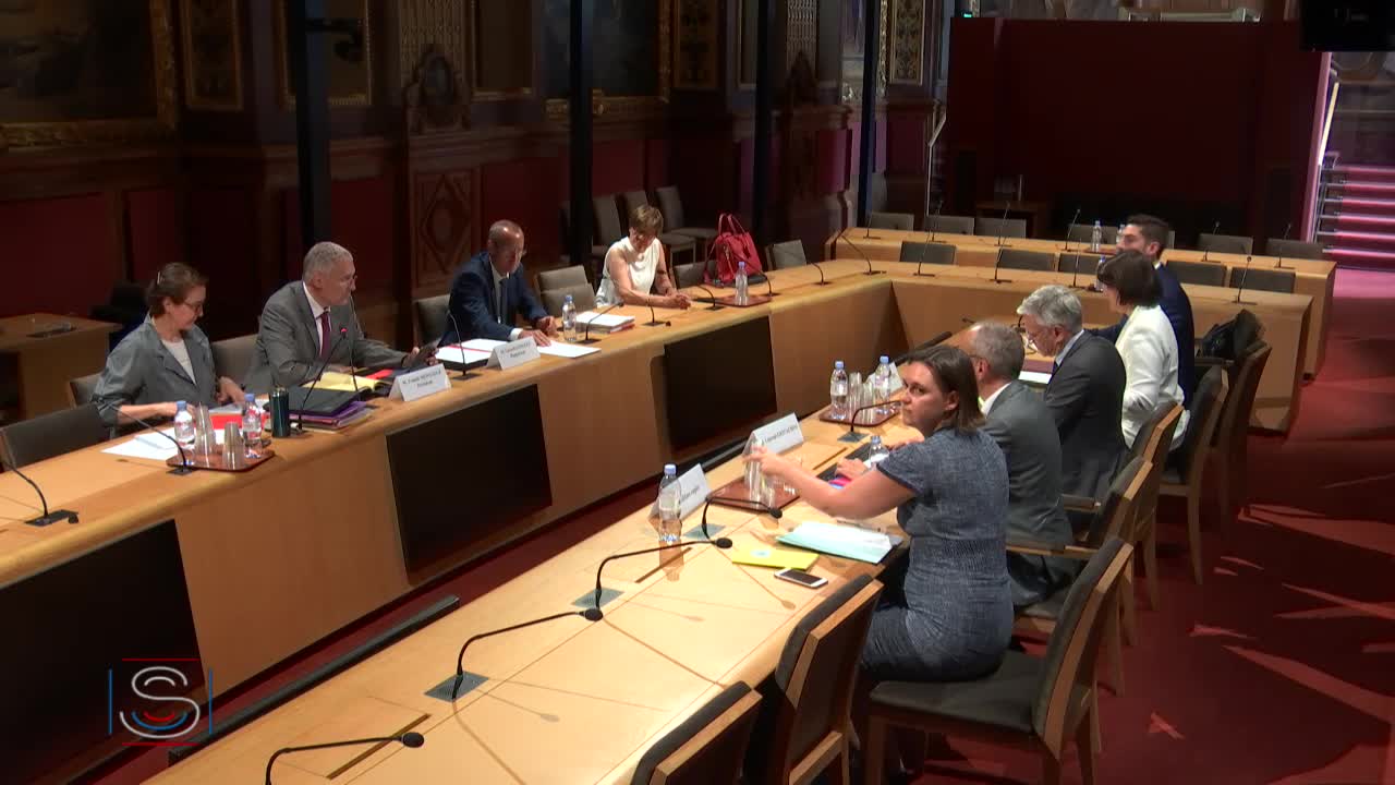 Auditions de la commission d'enquête sur la souveraineté numérique