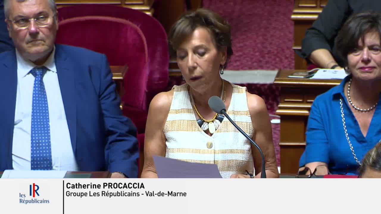 Séance publique du 23 juillet 2019 (après-midi)