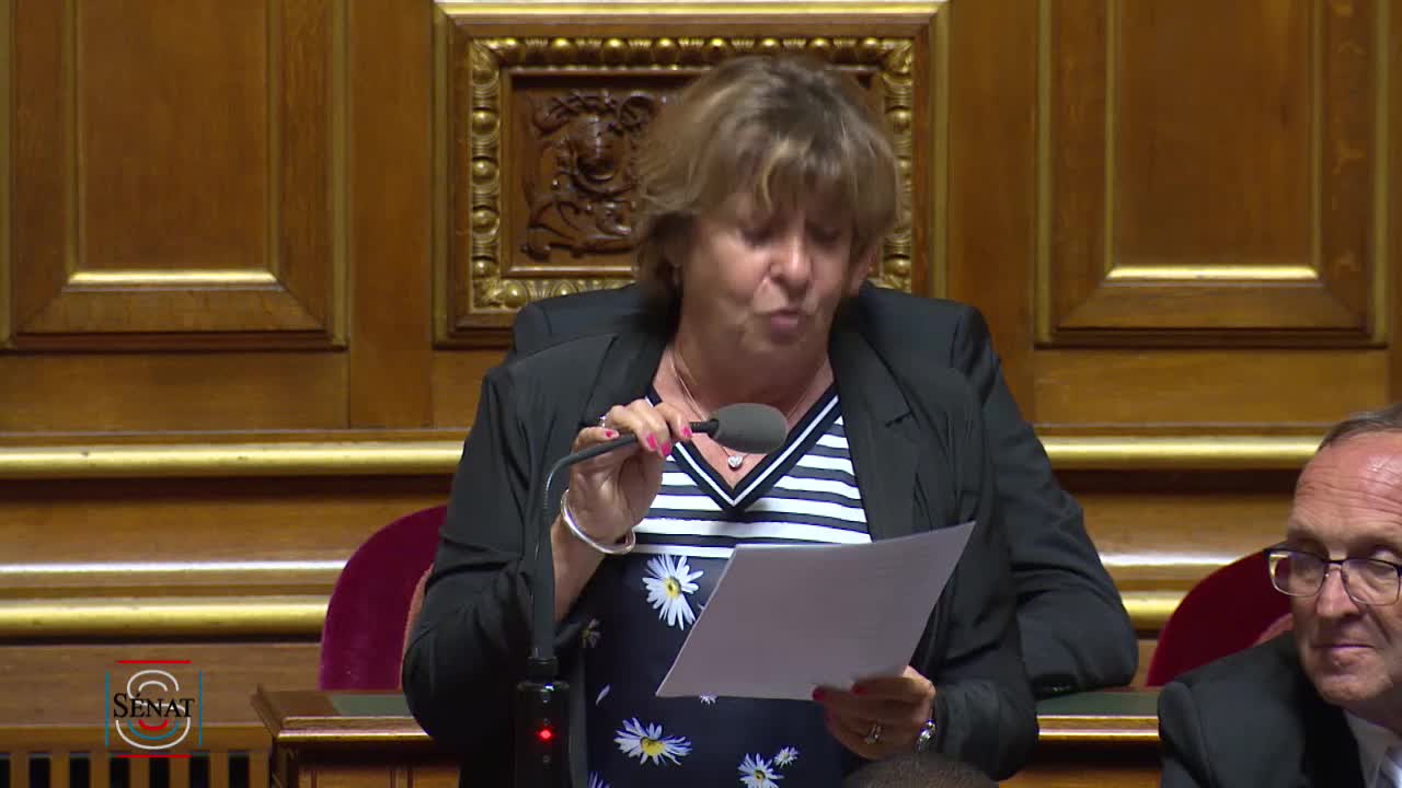 Séance publique du 23 juillet 2019 (après-midi)