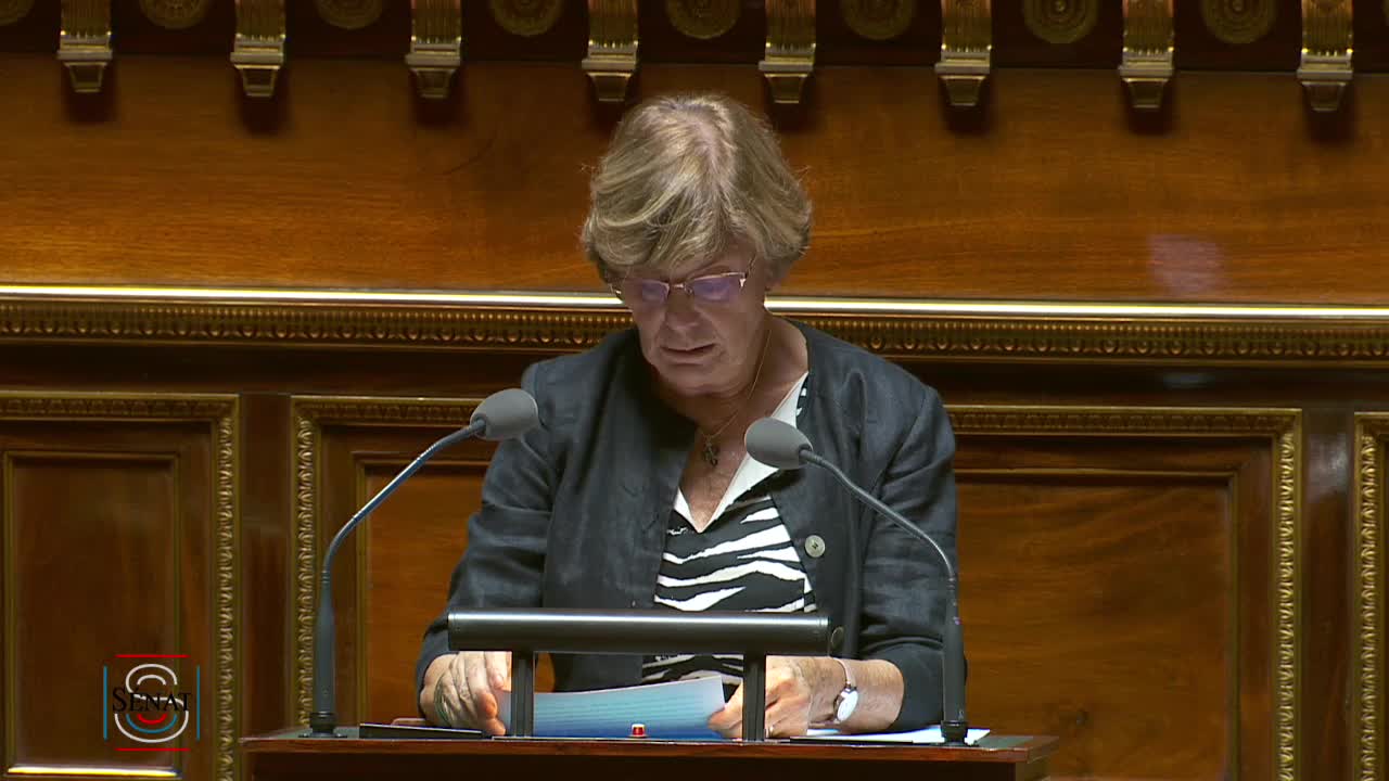 Séance publique du 24 juillet 2019 (après-midi)