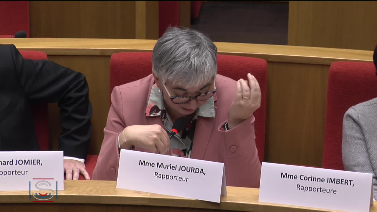 Audition de Mmes Nicole Belloubet, Agnès Buzyn et Frédérique Vidal, ministres