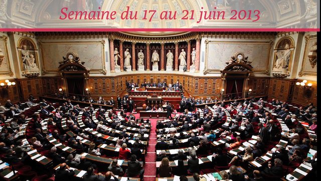 Sénat.Hebdo N°99 (21/06/13)